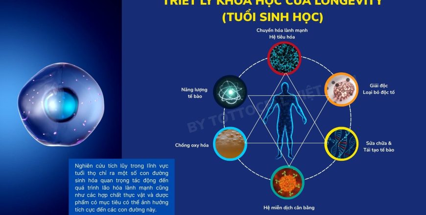 Tai-sinh-te-bao-tu-goc (1).jpg